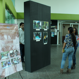 Exposición Fotográfica: Cartografía, memoria e historia