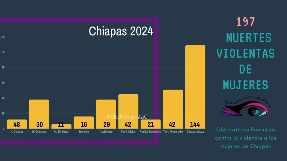 Informe Observatorio Feministas